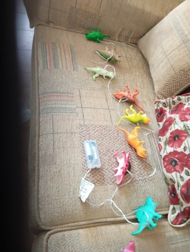 Dinosaur led string - string, night